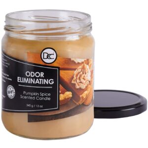 Pumpkin Spice Odor Eliminating Highly Fragranced Candle - Eliminates 95% of Pet, Smoke, Food, and Other Smells Quickly - Up to 80 Hour Burn time - 12 Ounce Premium Soy Blend