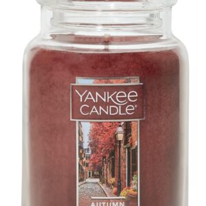 Yankee Candle Autumn Daydream Large Classic Jar Candle