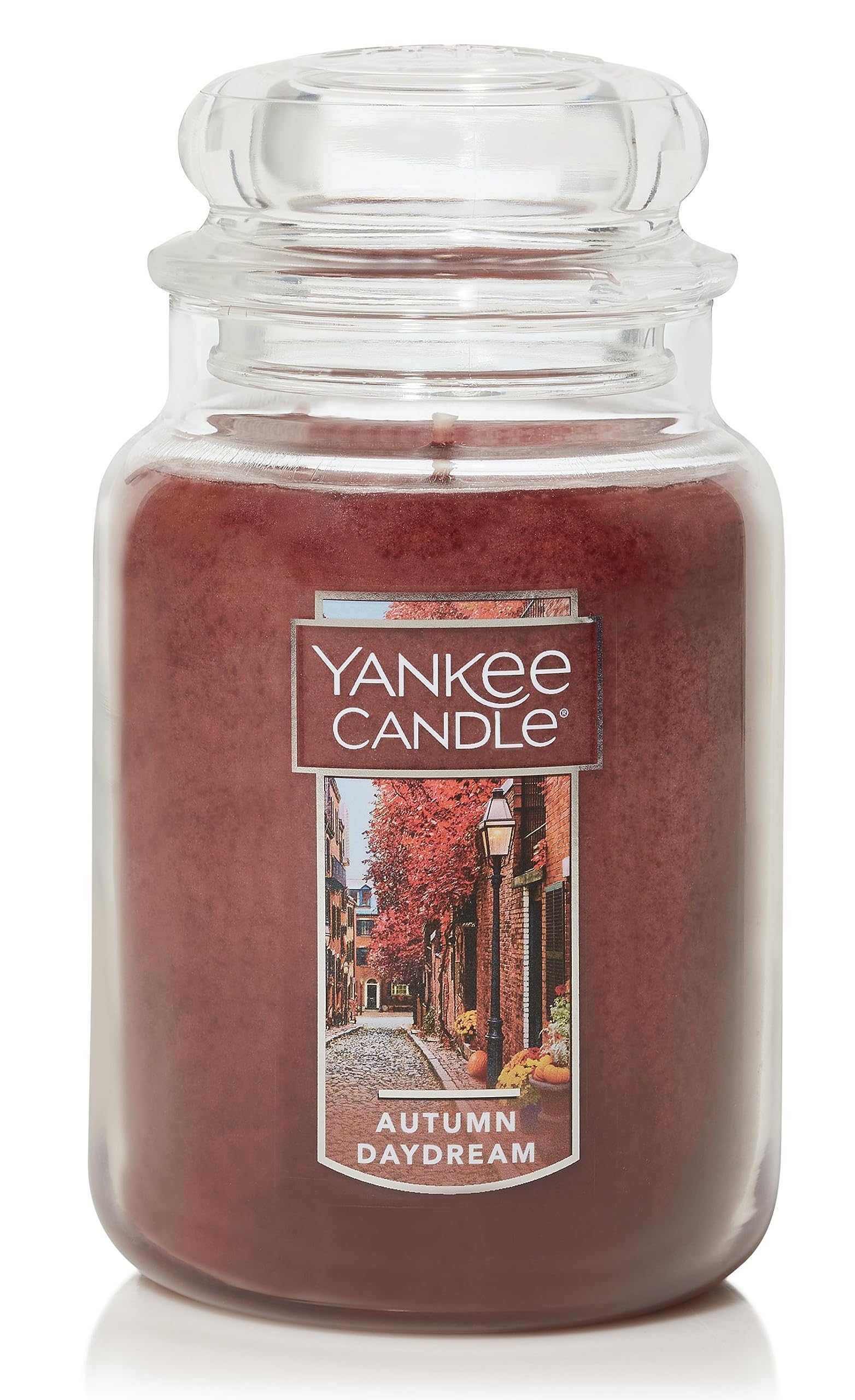 Yankee Candle Autumn Daydream Large Classic Jar Candle