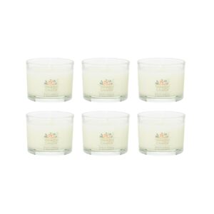 Yankee Candle Signature Votive Mini Candle Jar, White Spruce & Grapefruit Scent, Natural Soy Wax Blend Candle with Natural Fiber Wick, 1.3 OZ Glass Jar (Pack of 6)