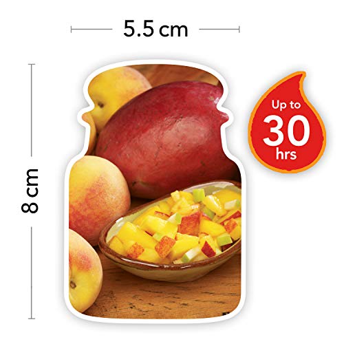 YANKEE CANDLE jar Small Mango Peach Salsa YSMMPS