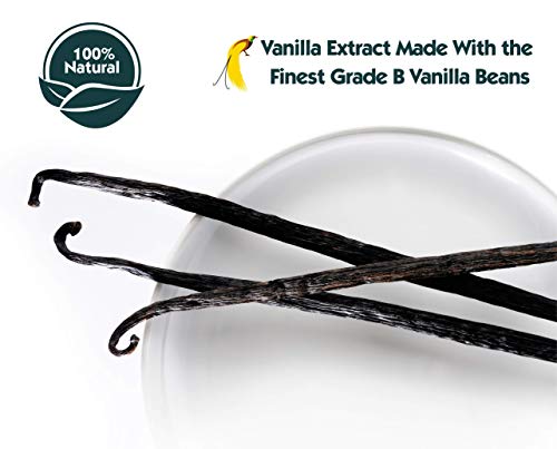 16 oz Pure Vanilla Extract - 100% Real Vanilla Extract - Made from Grade B Vanilla Beans - For Cooking, Drinks & Desserts - 100% Vegan, Sugar Free & Kosher - Non-GMO & Gluten-Free - Native Vanilla