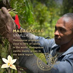 SAVA Madagascar Vanilla Extract – 100% Pure Vanilla Extract from High-Quality Madagascar Vanilla Beans – No Sugar Added Gourmet Vanilla Extract – Baking Supplies (2 Oz)