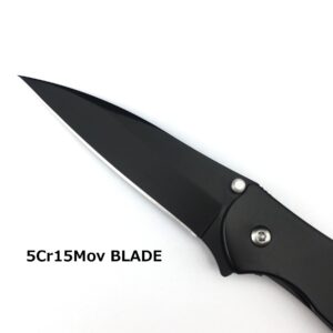 Black Leek Pocket Knife, 2.9 Inch 5Cr15Mov Blade and Stainless Steel Handle, Assisted Opening Folding Knife with Flipper Frame Lock, Deep Carry Pocketclip for Camping