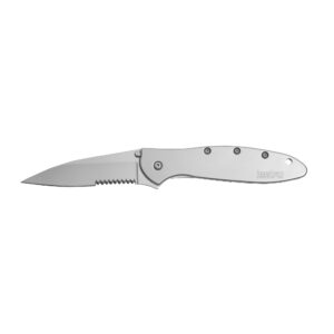 Kershaw Leek Black Serrated EDC Pocketknife, 3" Sandvik 14C28N Steel Blade & Leek Serrated EDC Pocketknife, 3" Sandvik 14C28N Steel Blade, assisted opening Folding Knife