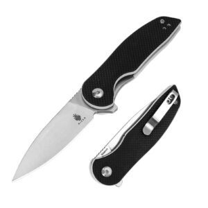 Kizer Sidekick EDC Knife, 2.87 Inches 9Cr18MoV Steel Blade Folding Knife, Black G10 Handle Small Pocket Knives for Men, L3006A1