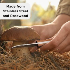 Wrenbury Mushroom Knife with Brush Folding – Mushroom Foraging Knife for Bountiful Harvesting – With Black Sheath and Presentation Box – 3” Blade