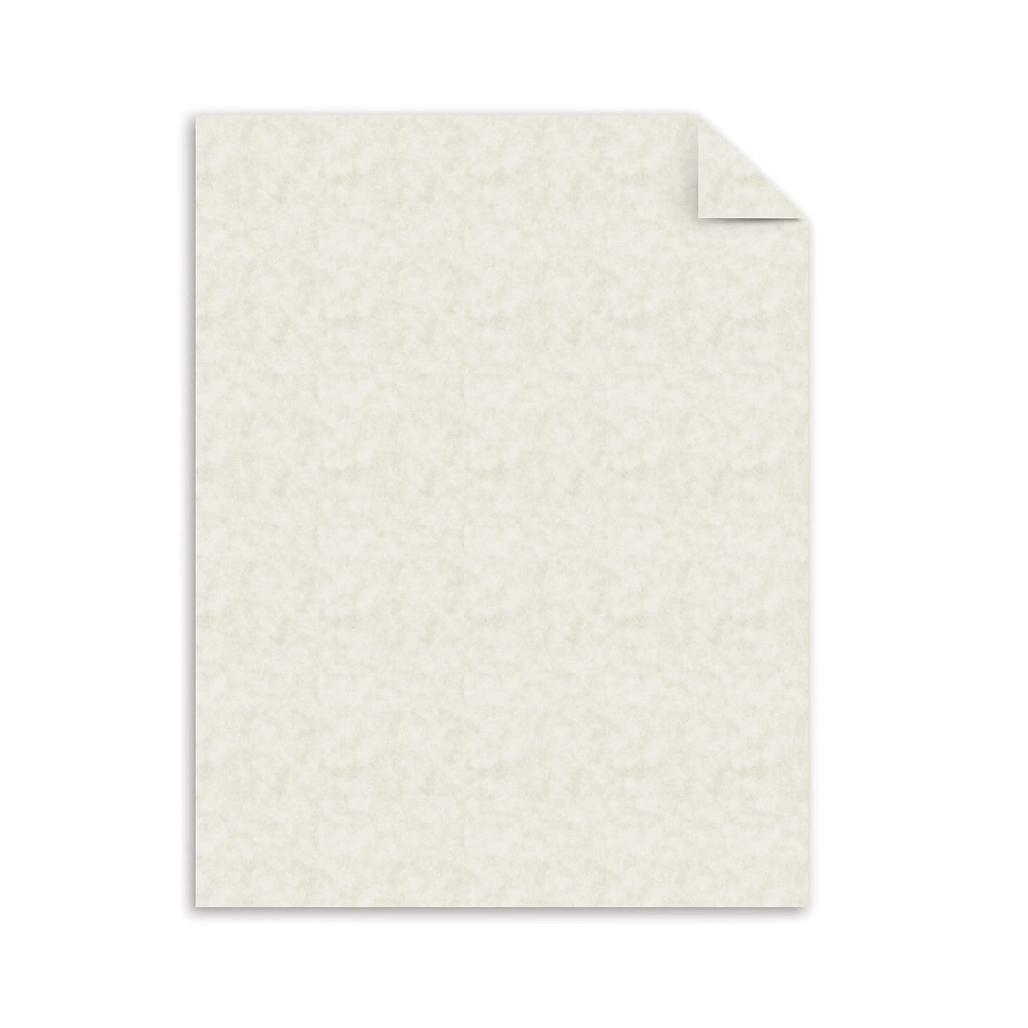 Southworth Parchment Paper - for Laser Print - Letter - 8.50quot; x 11quot; - 24 lb - Parchment - 500 / Box - Ivory