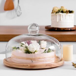 1pc Cake Tray Dessert Display Stand Cake Serving Plate with lid Party Treat Stand Glass Cake Dome Appetizer Serving Tray Cake Storage Tray Wood Vegetable Dinner Plate to Rotate