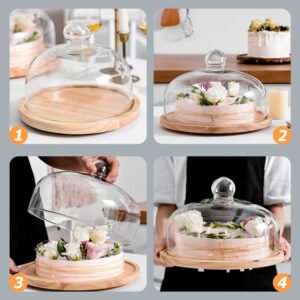 1pc Cake Tray Dessert Display Stand Cake Serving Plate with lid Party Treat Stand Glass Cake Dome Appetizer Serving Tray Cake Storage Tray Wood Vegetable Dinner Plate to Rotate