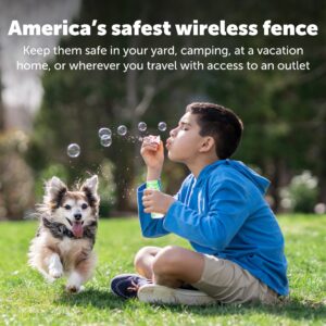 PetSafe Wireless Pet Fence Containment System Receiver Collar Only for Dogs and Cats Over 8 lbs., Waterproof with Tone and Static Correction - from The Parent Company of Invisible Fence Brand