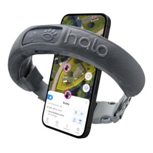 Halo Collar 3 - GPS Dog Fence - Multifunction Wireless Dog Fence & Training Collar with Real-Time Tracking & GPS - Waterproof, Instantly Create and Store Wireless Fences (Small, Graphite)