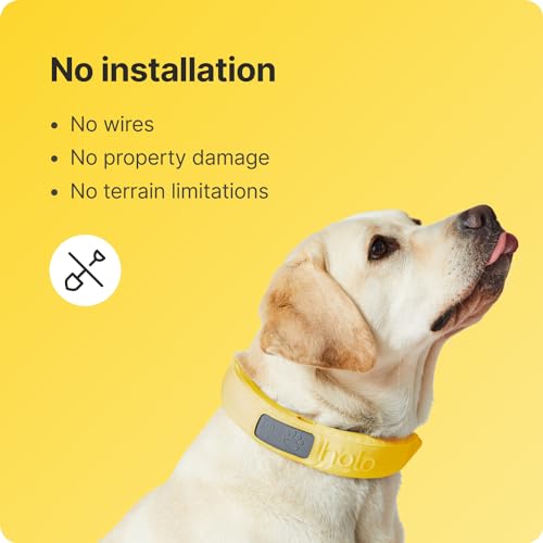 Halo Collar 3 - GPS Dog Fence - Multifunction Wireless Dog Fence & Training Collar with Real-Time Tracking & GPS - Waterproof, Instantly Create and Store Wireless Fences (Small, Graphite)