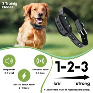 WIEZ GPS Wireless Dog Fence, Electric Dog Collar Fence,Pet Containment System,Range 65-3281ft, Adjustable Warning Strength, Rechargeable, Harmless and Suitable for All Dogs
