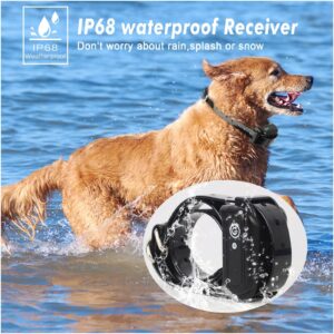 Wireless Fence for Dogs - Rechargeable and Waterproof Shock Collar - Electric Pet Fence for Stubborn Dogs - Safe Effective No Randomly Over Correction - Boundary Fence System for All Dogs,for3dogs