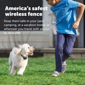 PetSafe Stay & Play Wireless Pet Fence & Replaceable Battery, America's Safest Wireless Fence Dog Collar