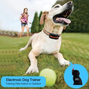 YHPOYLP Electric Wireless Dog Fence System, Dog Training Collar System with Remote Control, 656 Feet In-Ground Fence Boundary Container, Expandable to Multiple Dogs