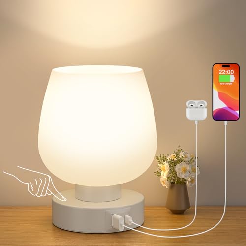 Kakanuo Bedside Table Lamp with Glass Shade, Touch Control, Dual USB A+C Charging Ports, Nightstand Lamp, 3-Way Dimmable, Bulb Included