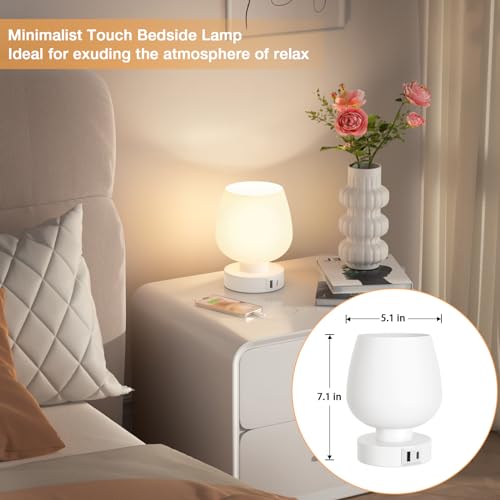 Kakanuo Bedside Table Lamp with Glass Shade, Touch Control, Dual USB A+C Charging Ports, Nightstand Lamp, 3-Way Dimmable, Bulb Included