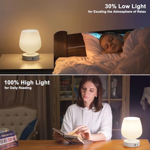 Kakanuo Bedside Table Lamp with Glass Shade, Touch Control, Dual USB A+C Charging Ports, Nightstand Lamp, 3-Way Dimmable, Bulb Included