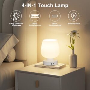 Kakanuo Bedside Table Lamp with Glass Shade, Touch Control, Dual USB A+C Charging Ports, Nightstand Lamp, 3-Way Dimmable, Bulb Included