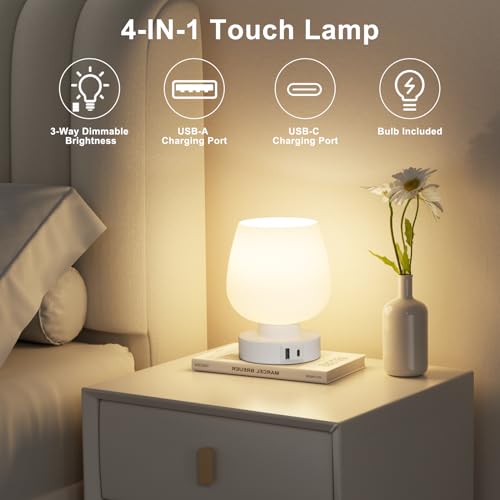 Kakanuo Bedside Table Lamp with Glass Shade, Touch Control, Dual USB A+C Charging Ports, Nightstand Lamp, 3-Way Dimmable, Bulb Included