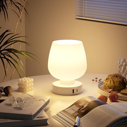 Kakanuo Bedside Table Lamp with Glass Shade, Touch Control, Dual USB A+C Charging Ports, Nightstand Lamp, 3-Way Dimmable, Bulb Included