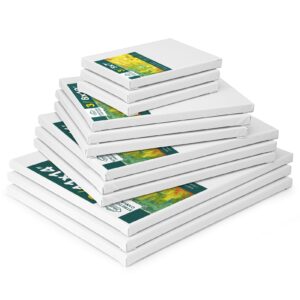 12 Pack Stretched Canvases for Painting with 11x14, 9 x12, 8x10, 5x7(3 of Each), Blank Primed Canvas for Oil, Acrylic & Others, Multi Size Set for Artist, Student and Beginners