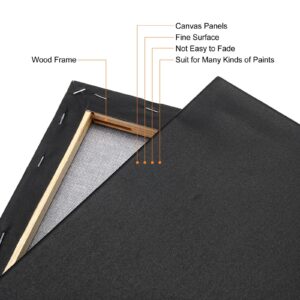 PATIKIL Paint Canvases Panel for Painting, 2 Pack 12x16 Inch Rectangle Wood Frame Stretched Blank Art Board Panels for Acrylic, Oil, Tempera Painting, Black