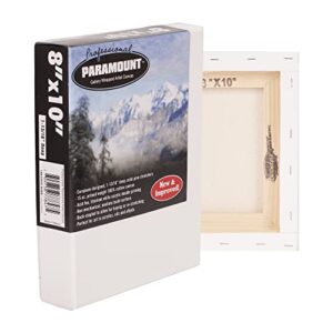 Paramount Professional 1-13/16" Deep Gallery Wrap Canvas - Professional Cotton Canvas for Acrylics, Painting, Oils, Artists, & More! - [Box of 3-24x36"]