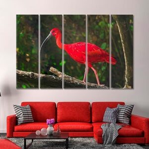 Exotic Bird Scarlet Ibis Canvas Print 1 Panel / 36x24 inches