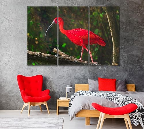 Exotic Bird Scarlet Ibis Canvas Print 1 Panel / 36x24 inches