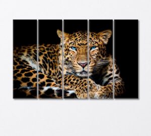 northern chinese leopard with extraordinary blue eyes canvas print 5 panels / 36x24 inches