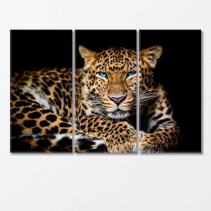 Northern Chinese Leopard with Extraordinary Blue Eyes Canvas Print 5 Panels / 36x24 inches