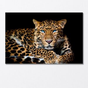 Northern Chinese Leopard with Extraordinary Blue Eyes Canvas Print 5 Panels / 36x24 inches