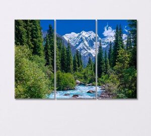 spruce forest near a stormy river and snowy mountains kyrgyzstan canvas print 3 panels / 36x24 inches