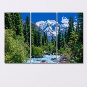 Spruce Forest near a Stormy River and Snowy Mountains Kyrgyzstan Canvas Print 3 Panels / 36x24 inches