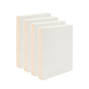 Da Vinci Pro Resist-Grip Textured Gesso 2"" Panel (Single) 18x24"" - 4 Pack