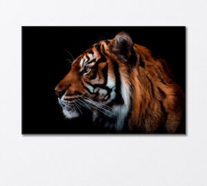 sumatran tiger canvas print 1 panel / 36x24 inches