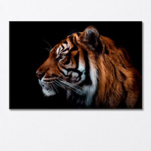 Sumatran Tiger Canvas Print 1 Panel / 36x24 inches