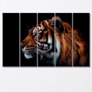 Sumatran Tiger Canvas Print 1 Panel / 36x24 inches