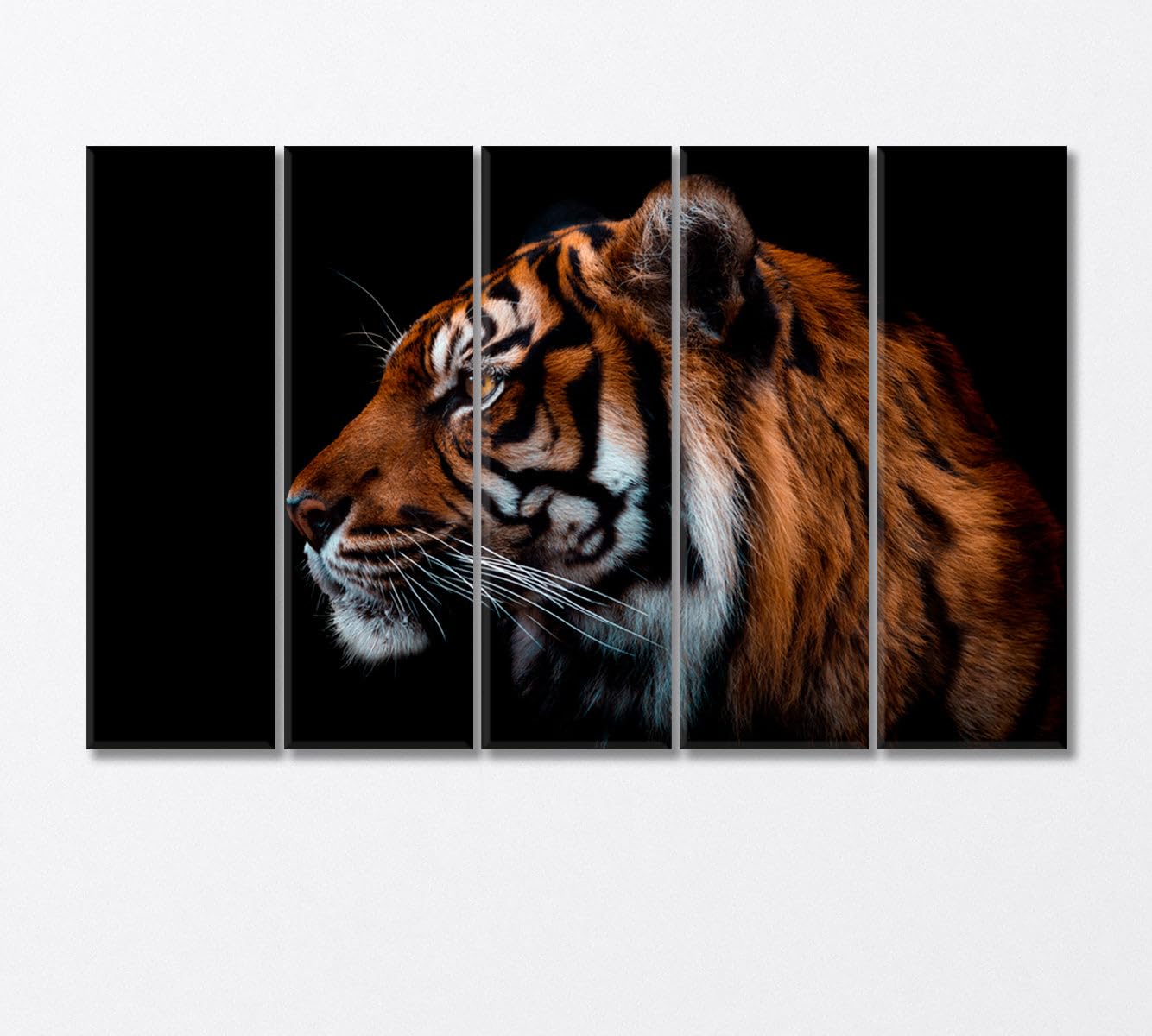 Sumatran Tiger Canvas Print 1 Panel / 36x24 inches