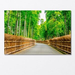 Bamboo Forest Canvas Print 1 Panel / 36x24 inches