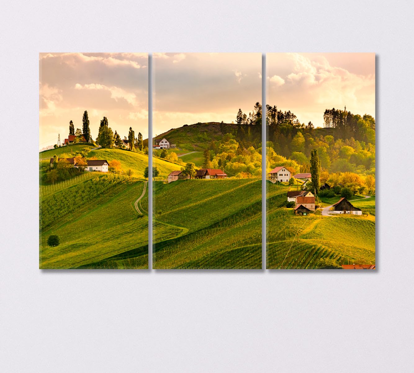 Vineyard Landscape South Styria Austria Canvas Print 1 Panel / 36x24 inches