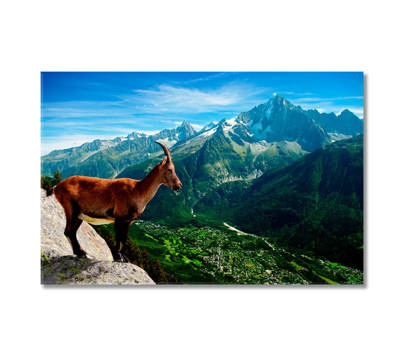 Mountain Goat Looks at Landscape Canvas Print 5 Panels / 36x24 inches