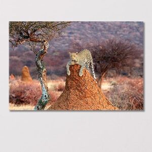 Leopard on a Termite Hill Namibia Africa Canvas Print 1 Panel / 36x24 inches