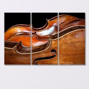Three Beautiful Cellos Canvas Print 5 Panels / 36x24 inches