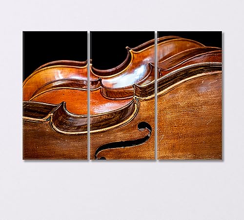 Three Beautiful Cellos Canvas Print 5 Panels / 36x24 inches