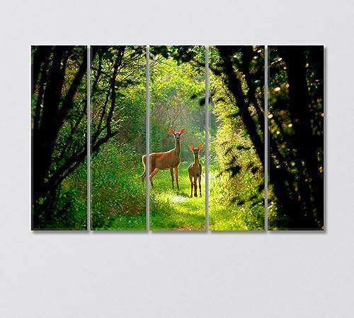 White Tailed Deer with a Fawn in the Forest Canvas Print 1 Panel / 36x24 inches