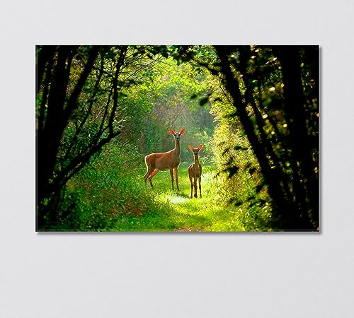 White Tailed Deer with a Fawn in the Forest Canvas Print 1 Panel / 36x24 inches